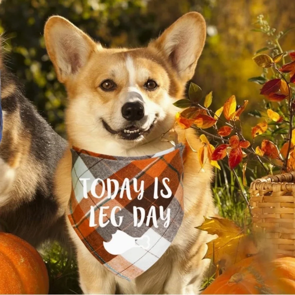 Thanksgiving Dog “Today is Leg Day“Bandana S/M- NEW